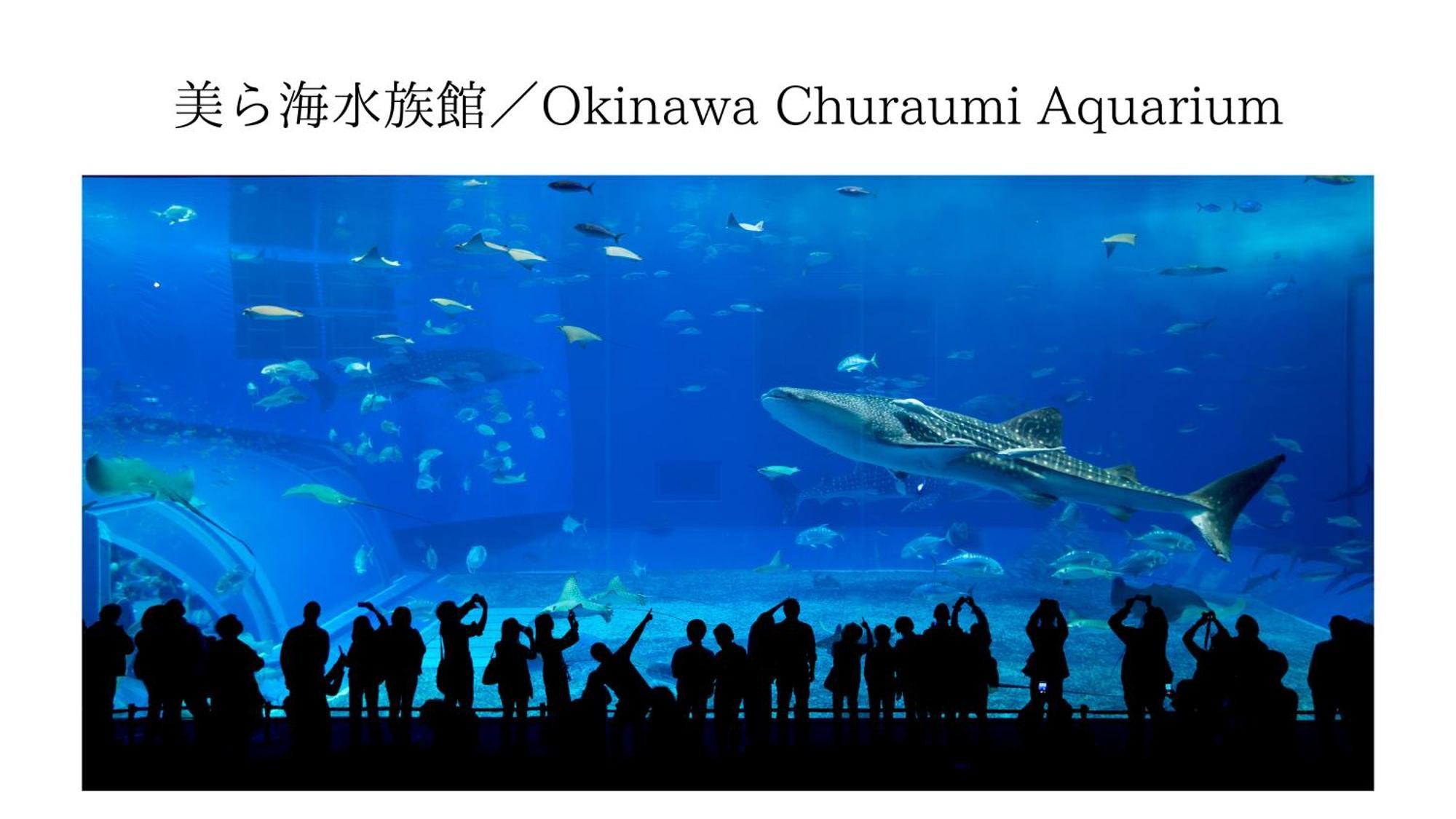 Aqua Shallows Onna Esterno foto